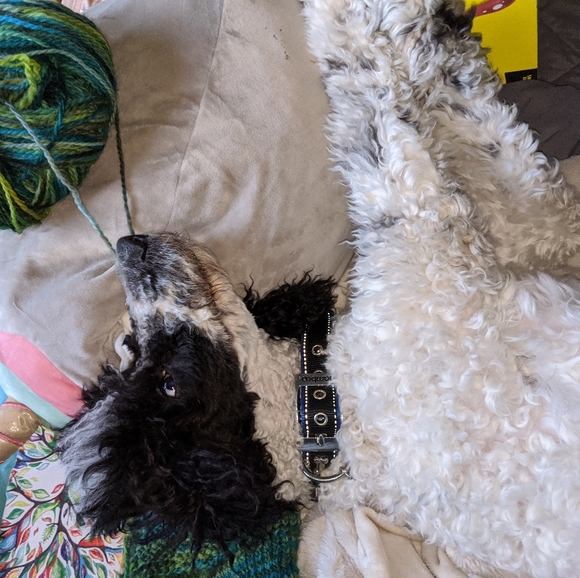 Meet your Posher, Kesten - Picture 2 of 2